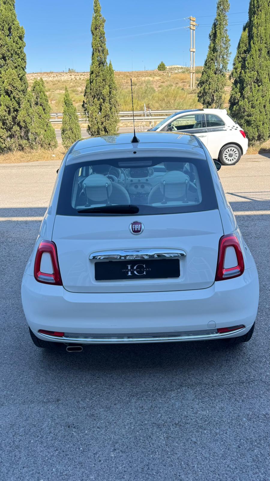 Miniatura 6