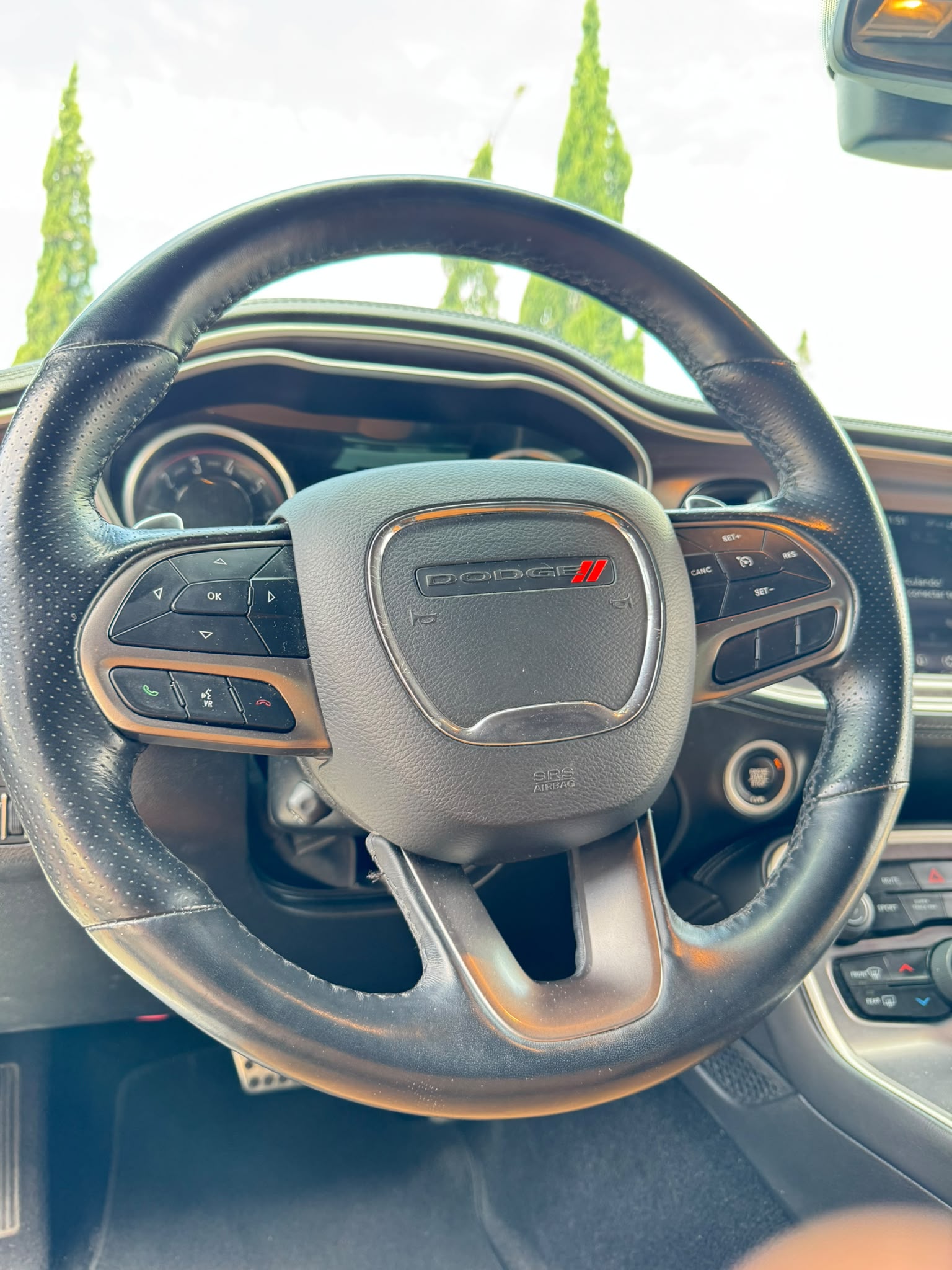 Miniatura 18